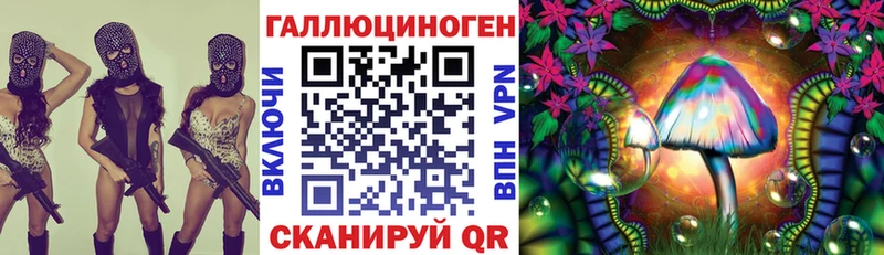 купить наркотики цена  Коломна  Псилоцибиновые грибы Psilocybine cubensis 