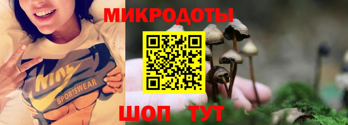 Коломна  Псилоцибиновые грибы мицелий  Галлюциногенные грибы GOLDEN TEACHER  Вход с VPN 